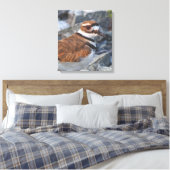 Sluiting van een Killhert Shorebird op de Rocks Canvas Afdruk (Insitu (Slaapkamer))