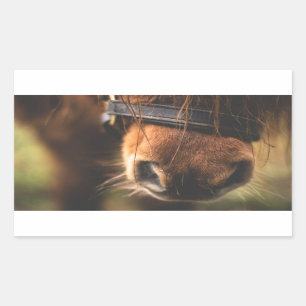 Sluiting van een klauwhouwe pens rechthoekige sticker