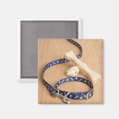 Sluiting van een kraag voor gezelschapsdieren en e magneet (Voorkant / Achterkant)