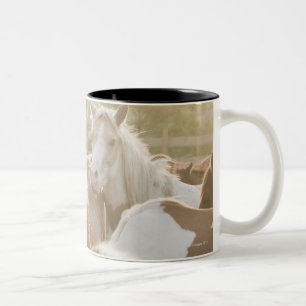 Sluiting van een kudde paarden tweekleurige koffiemok
