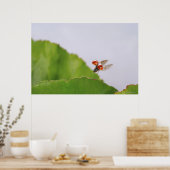 Sluiting van een ladybug boven een blad poster (Keuken)