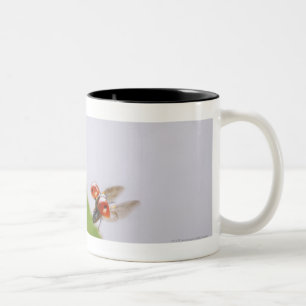 Sluiting van een ladybug boven een blad tweekleurige koffiemok