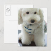 Sluiting van een minipoedel briefkaart (Voorkant / Achterkant)