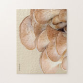 Sluiting van een oesterpaddenstoel legpuzzel (Verticaal)
