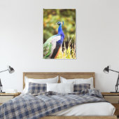Sluiting van een pauw canvas afdruk (Insitu (Slaapkamer))