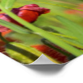 Sluiting van een Poppy-veld, Frankrijk Poster (Hoek)