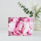 Sluiting van een roze pony-schilderij briefkaart (Staand voorkant)