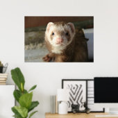 Sluiting van Ferret poster (Thuiskantoor)