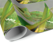 Sluiting van gesluierde kameleon onder het plant b cadeaupapier (Rol Hoek)