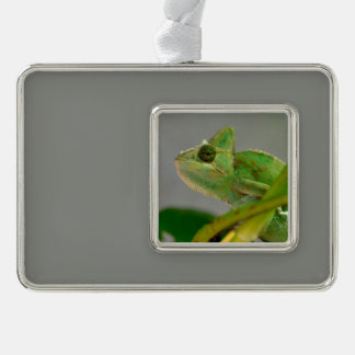 Sluiting van gesluierde kameleon onder planten verzilverd kader ornament