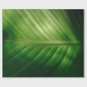 Sluiting van het groene blad cadeaupapier (Vlak)