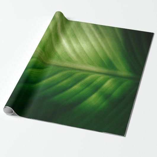 Sluiting van het groene blad cadeaupapier (Uitgerold)