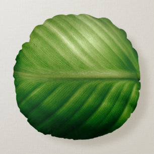 Sluiting van het groene blad rond kussen