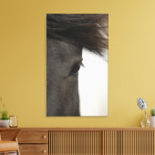Sluiting van het paardenoog en het paardenhaar canvas afdruk (Insitu (Woonkamer))