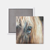 Sluiting van het paardenoog magneet (Voorkant / Achterkant)