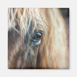 Sluiting van het paardenoog magneet