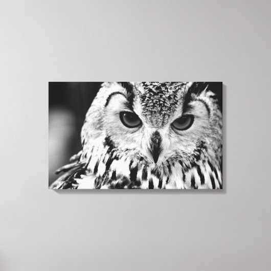 Sluiting van het portret van Euraziatische arend-u Canvas Afdruk (Voorkant)