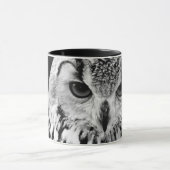 Sluiting van het portret van Euraziatische arend-u Mok (Midden)