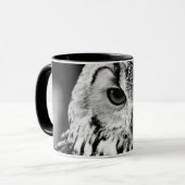 Sluiting van het portret van Euraziatische arend-u Mok (Voorkant links)