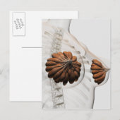 Sluiting van het Vrouw Mammary Glands Briefkaart (Voorkant / Achterkant)