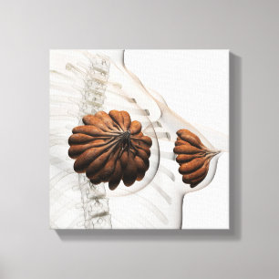 Sluiting van het Vrouw Mammary Glands Canvas Afdruk