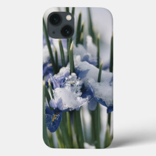 Sluiting van Iris iPhone 13 Hoesje