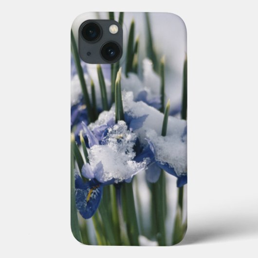 Sluiting van Iris Case-Mate iPhone Case (Achterkant)