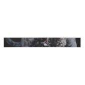 Sluiting van Jaguar Diablo Grosgrain Lint (Voorkant)