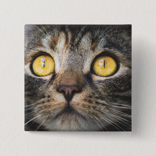 Sluiting van kat met gele ogen vierkante button 5,1 cm (Voorkant)