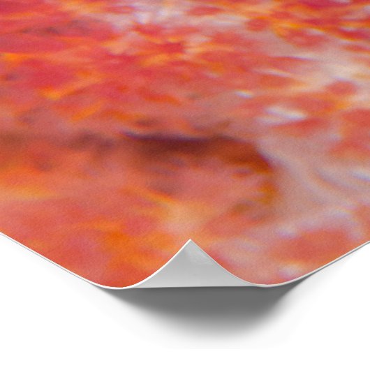 Sluiting van keizer Angelfish Poster (Hoek)