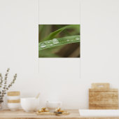 Sluiting van nat tropisch blad 4 poster (Keuken)