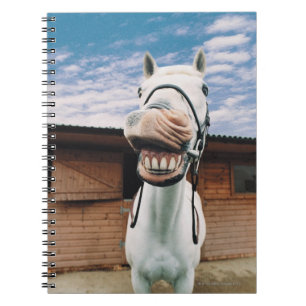 Sluiting van Paarden met Mouth Open Notitieboek