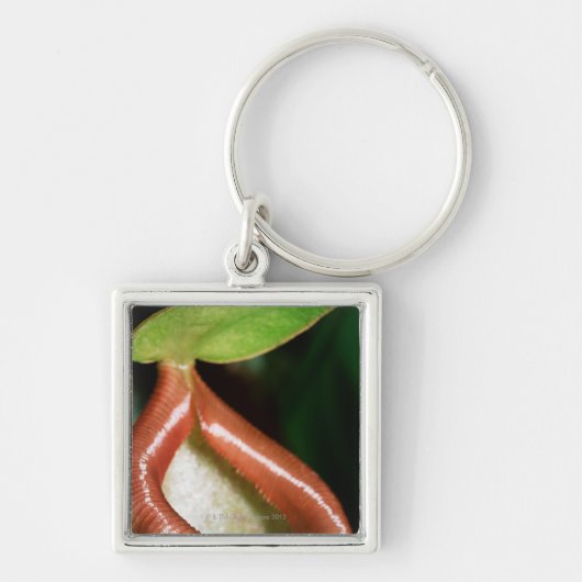 Sluiting van pitcher plant sleutelhanger (Voorkant)