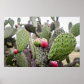 Sluiting van Prickly Pear Cactus Poster (Voorkant)