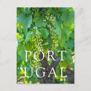 Sluiting van rijpende druiven briefkaart