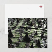 Sluiting van Spiky Kapok Tree Trunk : Funchal Made Briefkaart (Voorkant / Achterkant)