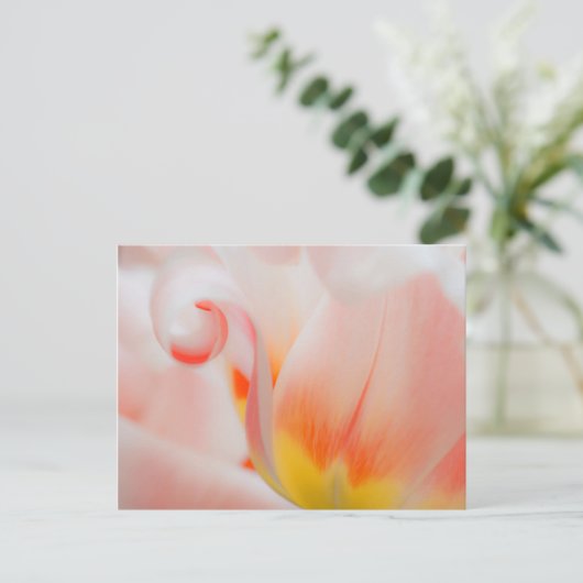 Sluiting van tulp 3 briefkaart (Staand voorkant)