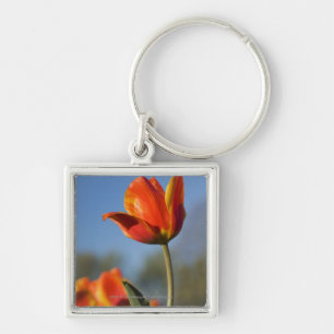Sluiting van tulpbloemen sleutelhanger