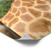 Sluiting van twee vakantie met giraffen poster (Hoek)