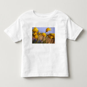 Sluiting van vervalsingen kinder shirts