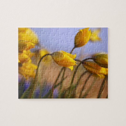 Sluiting van vervalsingen legpuzzel (Horizontaal)