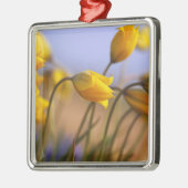 Sluiting van vervalsingen metalen ornament (Links)