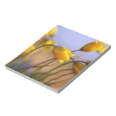 Sluiting van vervalsingen notitieblok (Gedraaid)