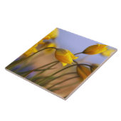 Sluiting van vervalsingen tegeltje (Zijkant)