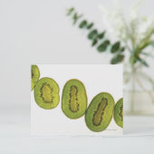 Sluiting van vijf plakken kiwi-vruchten briefkaart (Staand voorkant)