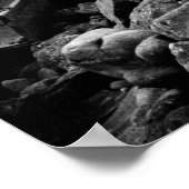 SLUITING VOOR GOLD c. 1890 Poster (Hoek)