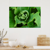 Sluiting, zuinig plant met waterdruppels poster (Keuken)