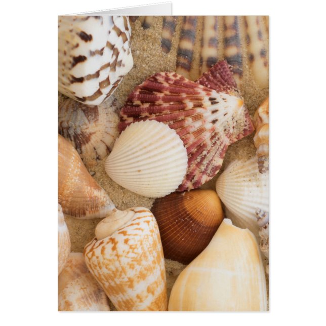 Sluitingsschema (Voorkant)