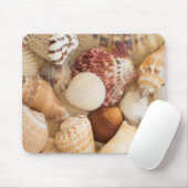 Sluitingsschema Muismat (Met muis)