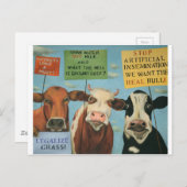 Sluitkoeien Briefkaart (Voorkant / Achterkant)